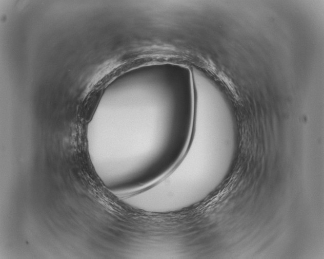 X0000089401352200706150904