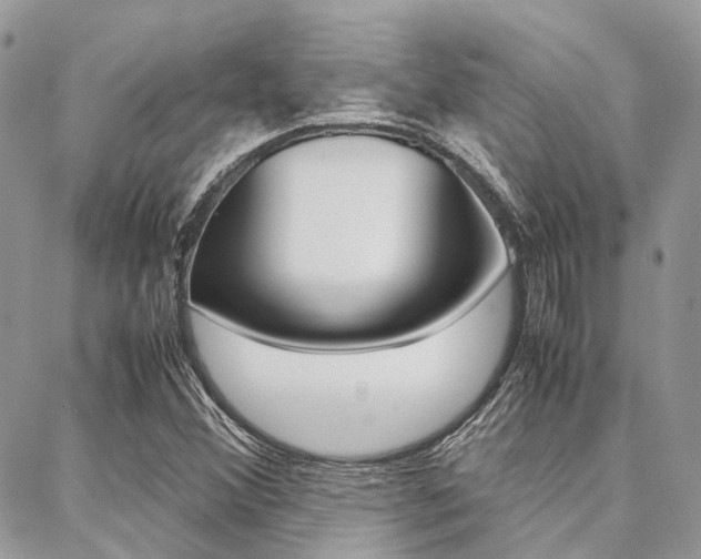 X0000089401356200706150904