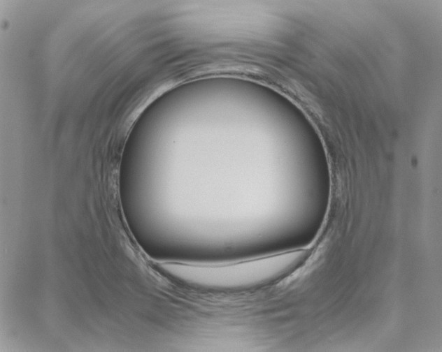 X0000089401369200706150904