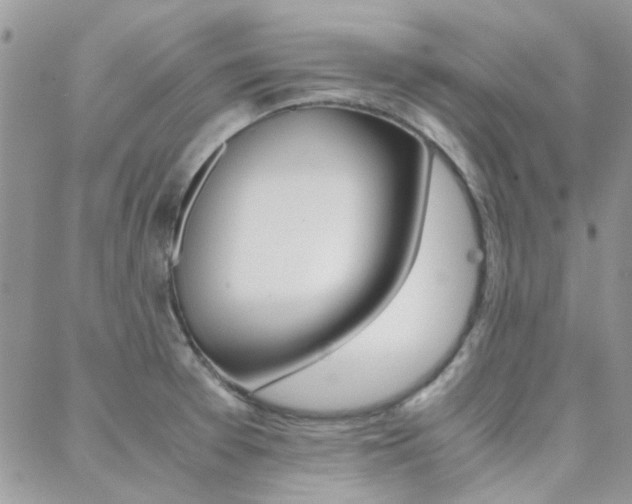 X0000089401377200706150904