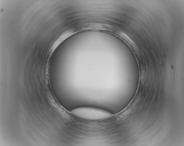 X0000089401378200706150904