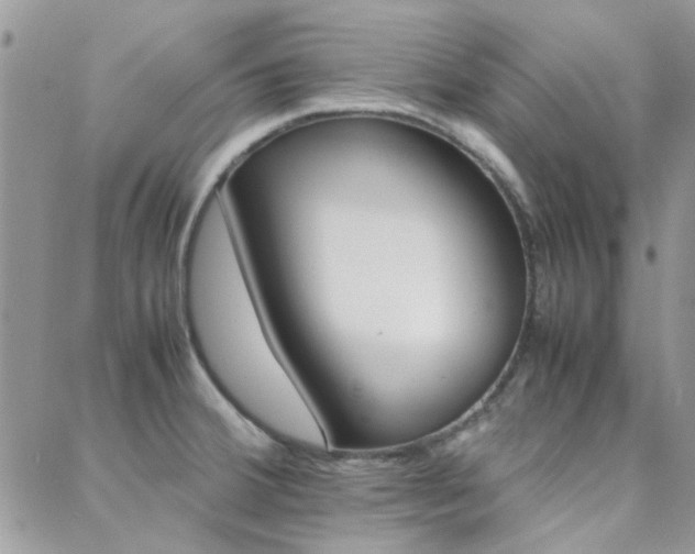 X0000089401380200706150904