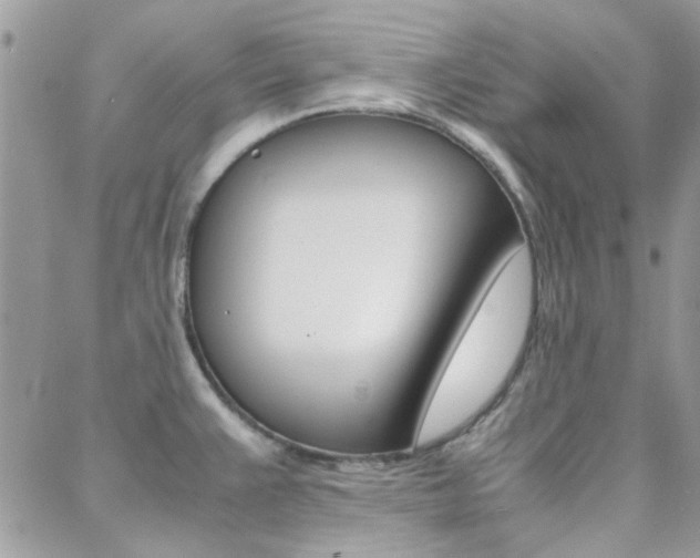 X0000089401383200706150904