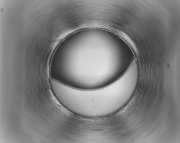 X0000089401388200706150904