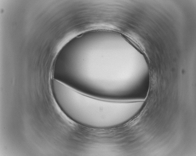 X0000089401391200706150903