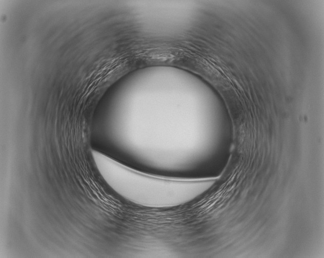 X0000089401394200706150903