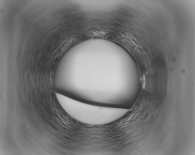 X0000089401395200706150903