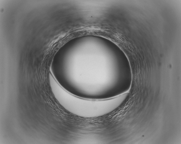 X0000089401398200706150903