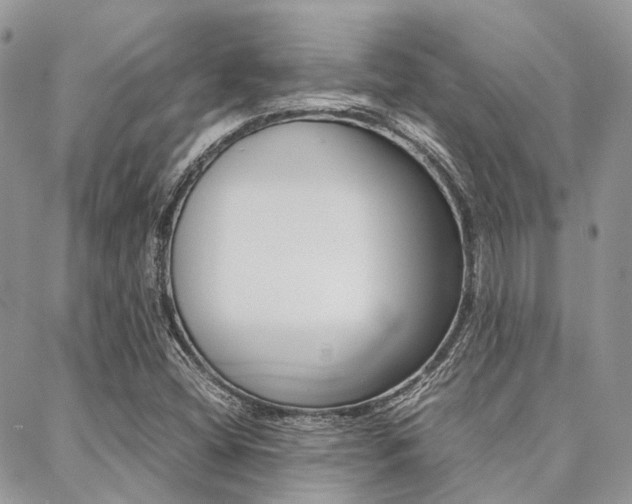 X0000089401404200706150903
