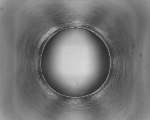 X0000089401410200706150903