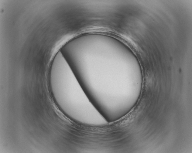 X0000089401413200706150903