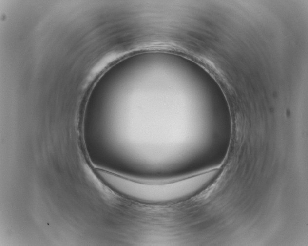 X0000089401422200706150903