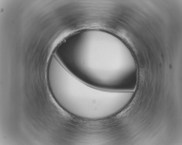 X0000089401424200706150903