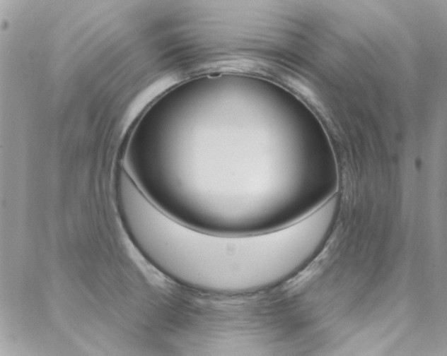 X0000089401426200706150903