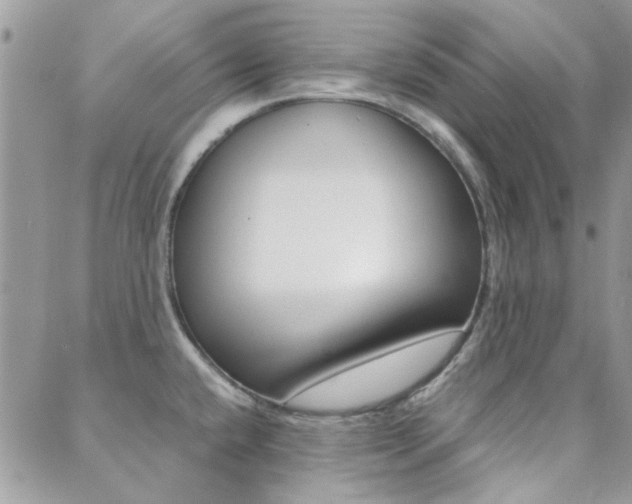 X0000089401432200706150903