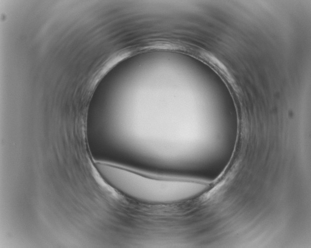 X0000089401433200706150903