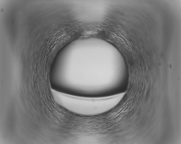 X0000089401441200706150903