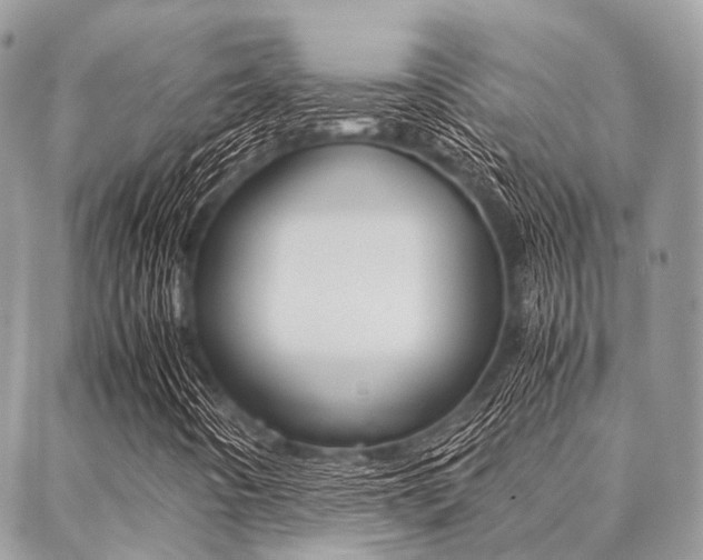 X0000089401442200706150903