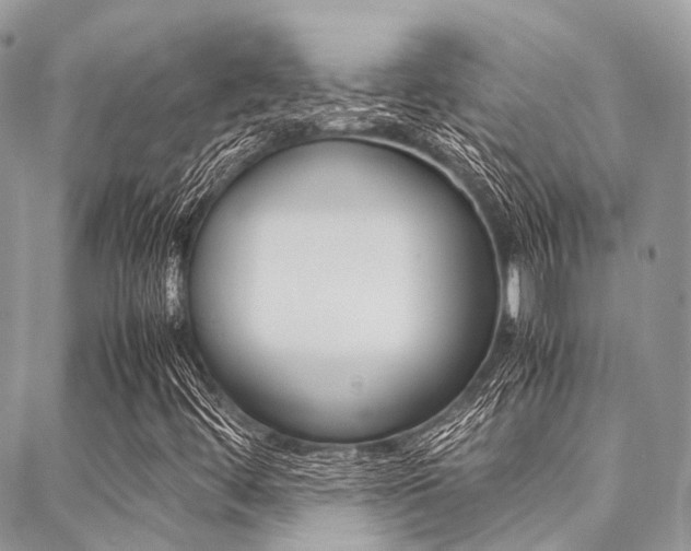 X0000089401444200706150903