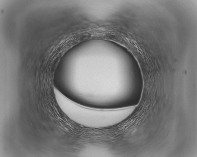 X0000089401445200706150903