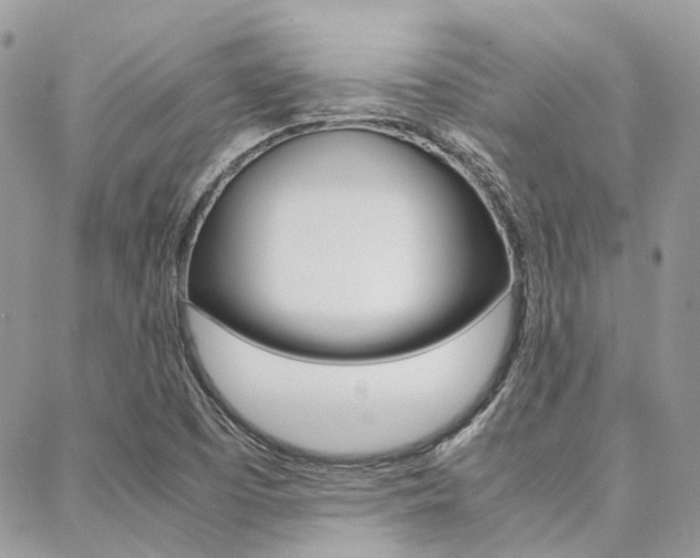 X0000089401457200706150902