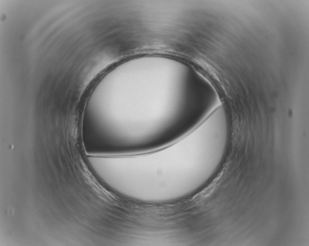 X0000089401458200706150902