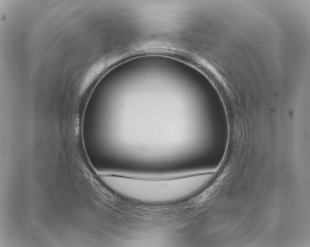 X0000089401461200706150902