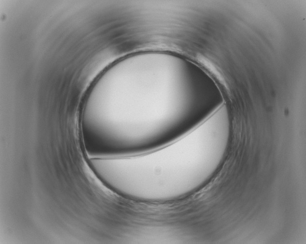X0000089401468200706150902
