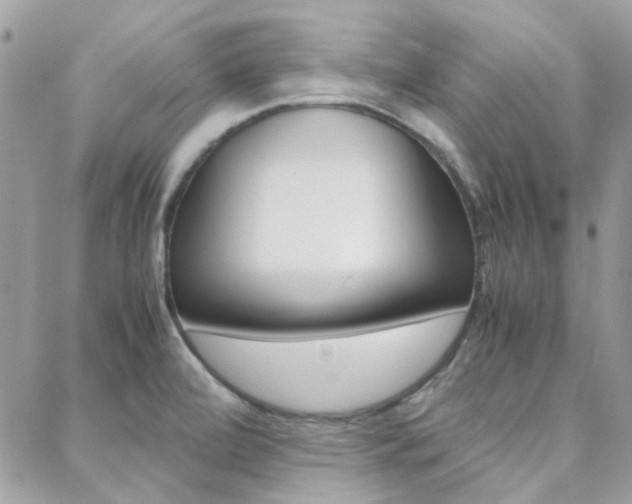 X0000089401472200706150902