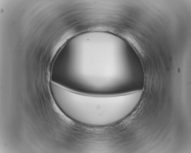 X0000089401476200706150902