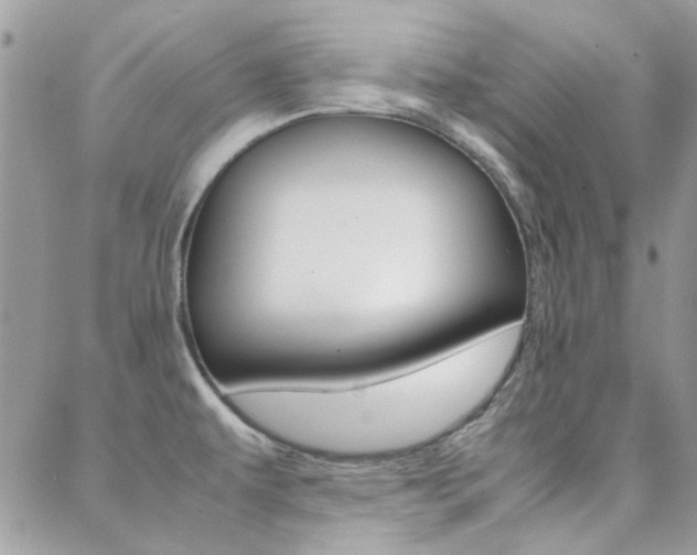 X0000089401479200706150902