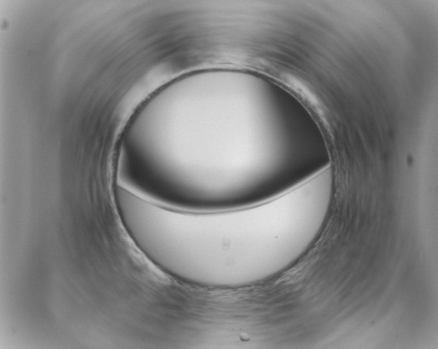 X0000089401480200706150902
