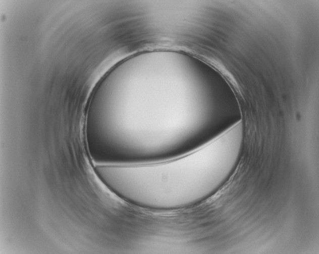 X0000089401484200706150902