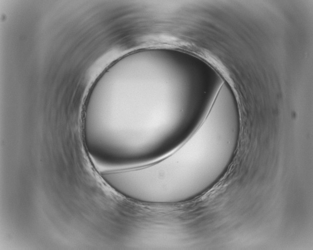 X0000089401488200706150902