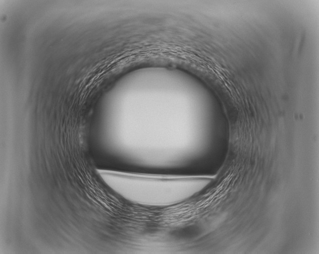 X0000089401490200706150901