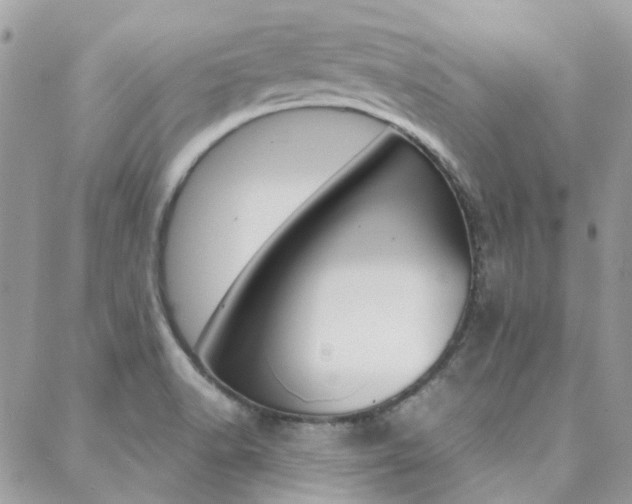 X0000089401518200706150902