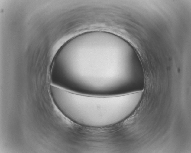 X0000089401527200706150902