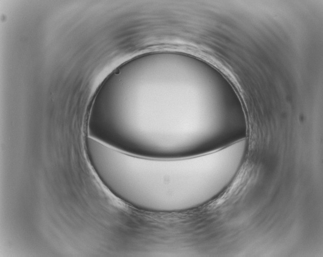 X0000089401533200706150902