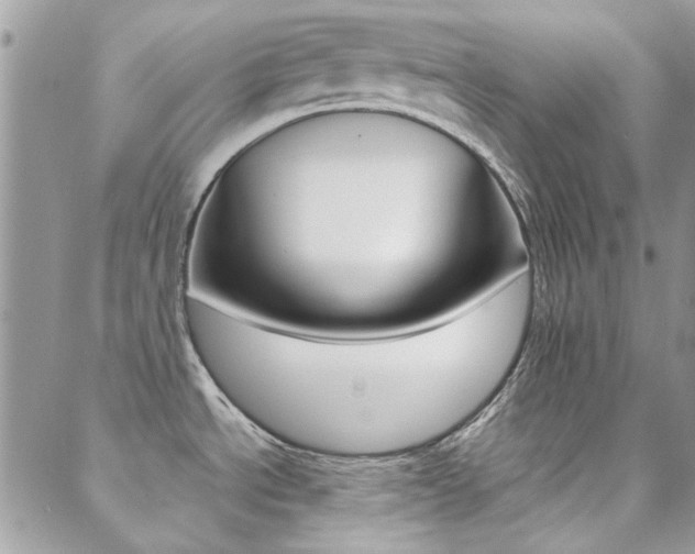 X0000089401534200706150902