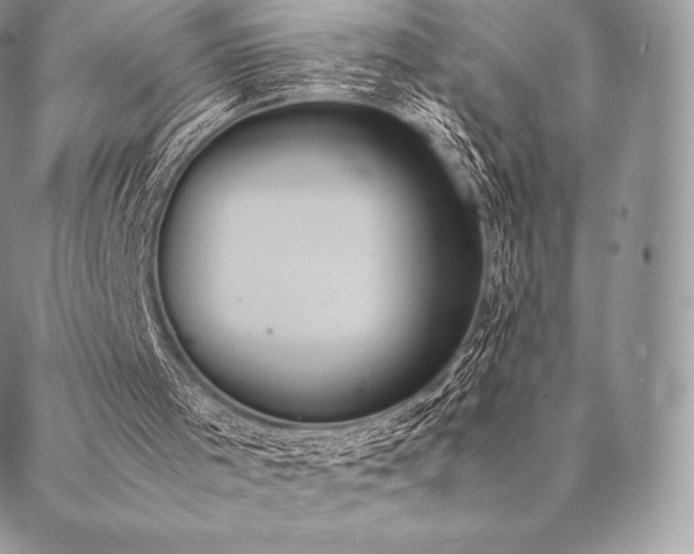 X0000089400001200706151238