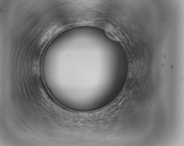 X0000089400002200706151238