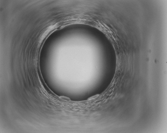 X0000089400003200706151238