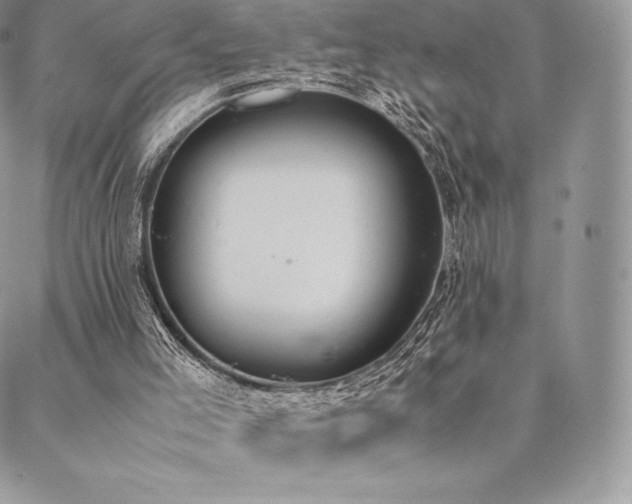 X0000089400005200706151238