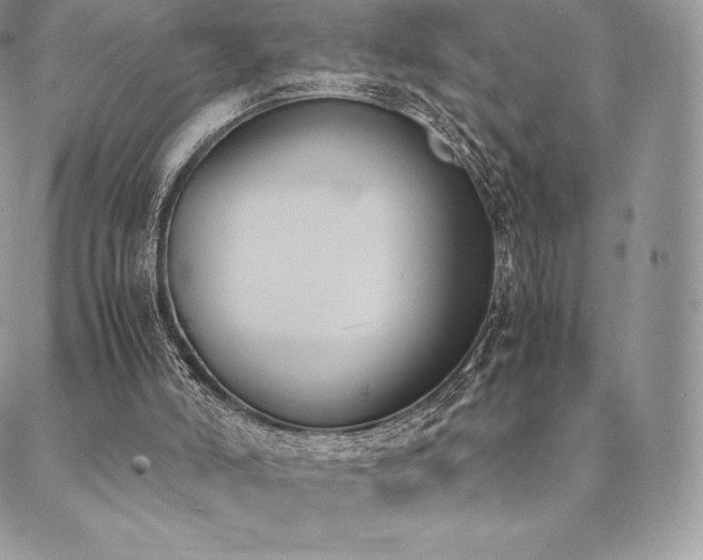 X0000089400006200706151238