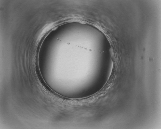 X0000089400007200706151238