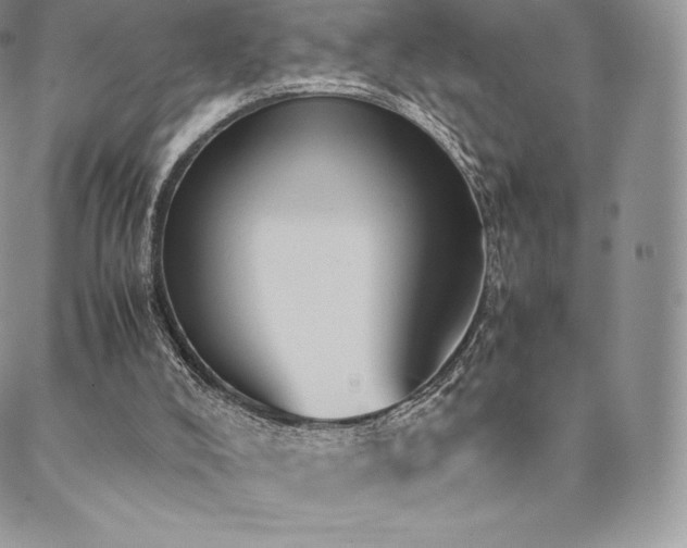 X0000089400008200706151238