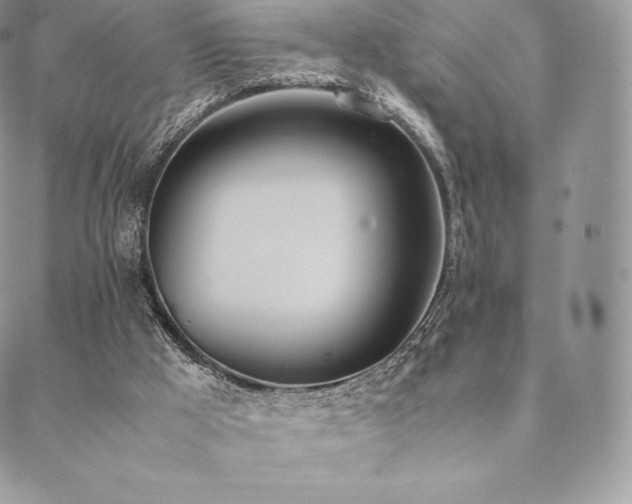 X0000089400009200706151238