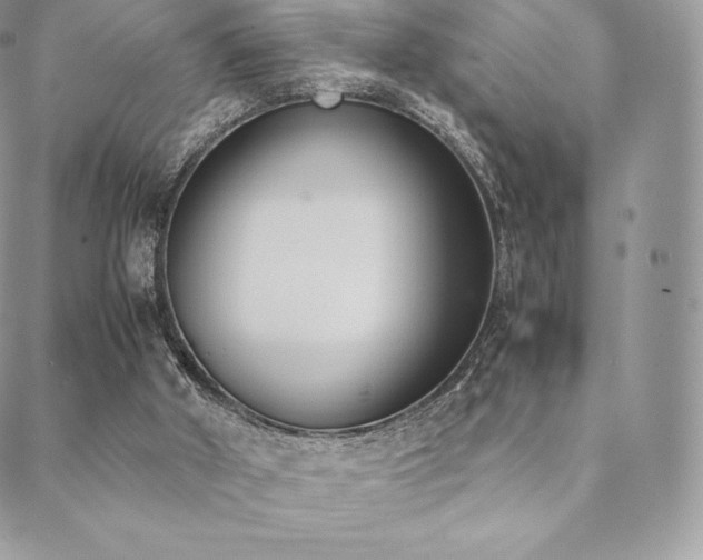 X0000089400010200706151238