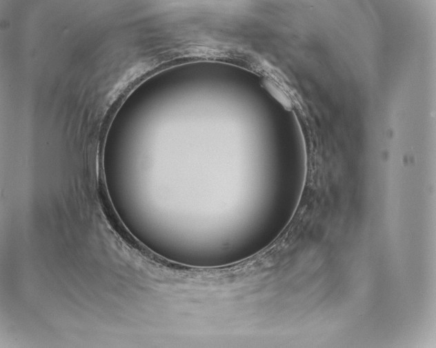 X0000089400011200706151238