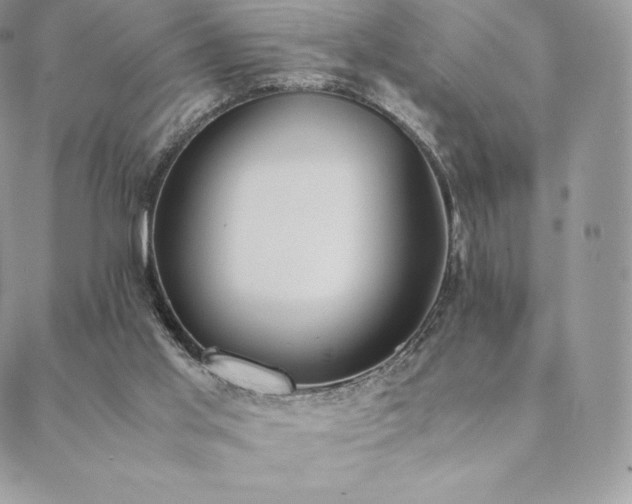 X0000089400013200706151238